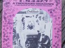 The Seeds A Thousand Shadows / March of the Flower 45 Record w PS Picture Sleeve