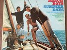 The Beach Boys Summer Days (and Summer Nights) Mono LP Scranton Press VG+