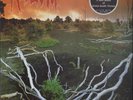 Revenant Prophecies Of A Dying World NEAR MINT Nuclear Blast Vinyl LP