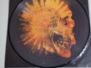 Barns Courtney The Attractions Of Youth Vinyl Picture Disc LP
