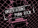 Various Artists Underground punk rock: From the vaults - rar (Vinyl) (UK IMPORT)