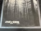 The Cure - A Forest 12