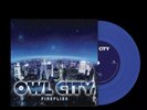 Owl City | FIREFLIES + GOOD TIME 7” Vinyl Singles Day 2024 IN HAND