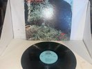 Don Jones - Bigfoot Northwest Abominable Snowman - Vinyl LP Panorama PRS 204