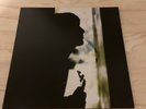 Paul Weller Wild Wood Reissue  12