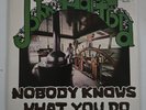 John Hartford Vinyl LP Nobody Knows What You Do 1976 Flying Fish Records Folk