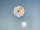 Quando Quango Love Tempo Embossed Sleeve 12