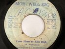 WELLINGTON   THE HEPTONES   COME HOME TO ZION HIGH (7Inch Single)