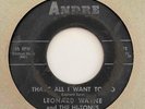 Northern Sweet Soul 45 LEONARD WAYNE & THE HI-TONES That's All I Want To Do HEAR