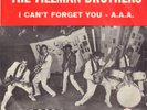 TIELMAN BROTHERS - I CAN'T FORGET YOU / A.A.A.  (1993 INDO-ROCK VINYL SINGLE 7