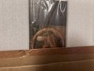 Aphex Twin Selected Ambient Works Volume 2  -Limited Oak & Copper Boxset