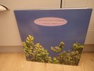 The Go Betweens 1978 - 1990, Original 1990 Vinyl Release, BEGA104, VG+