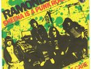 RAMONES - Sheena is a punk rocker - Punk 7
