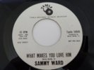 45 SAMMY WARD Tamla Promo 54049 What Makes You Love Him/Don't Take It Away SOUL