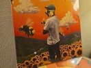 Tyler the Creator Scum Fuck Flower Boy Vinyl 2LP