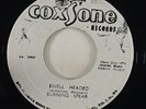 Burning Spear 