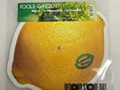 Fools Garden - Lemon Tree  Limited RSD Picture Vinyl  Record Store Day 2024 NEW