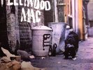 FLEETWOOD MAC - Peter Green's Fleetwood Mac - Vinyl (180 gram vinyl LP)