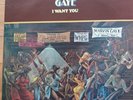 vinyl record, Marvin Gaye, 
