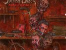 Six Feet Under Killing for Revenge (Vinyl) (UK IMPORT)