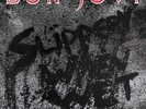 Bon Jovi Slippery When Wet LP Vinyl 4702921 NEW