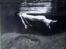 BILL EVANS / JIM HALL - Undercurrent (180g MFSL SPECIAL LIMITED VINYL LP, 2023)