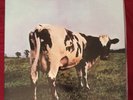 Pink Floyd   Atom Heart Mother   1994   MFSL 1-202   #5170