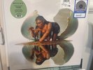 Megan Thee Stallion 2xLP silver streak Colored Vinyl hot girl records sealed