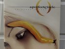 A Perfect Circle - Thirteenth Step (Vinyl 2xLP)