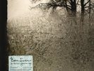LP Bon Iver For Emma, Forever Ago DOWNLOAD CODE NEW OVP Jagjaguwar / Cargo