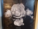 Blue October - Sway Vinyl LP