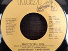 James Walsh Gypsy Band ‎– Cuz It's You, Girl - RCA Promo  M-