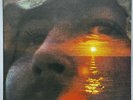 David Crosby 