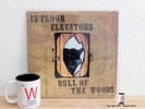 RARE TERRIFIC Original 1969 IA-LP 9 THIRTEENTH FLOOR ELEVATORS Bull of the Woods