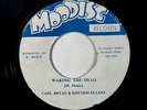 Carl Bryan & Rhythm Rulers 