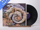 The Moody Blues A Question Of Balance Lyric Sheet LP Album Vinyl Record - EX/EX