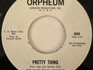 PLUM BEACH INCIDENT Pretty Thing 4503 7