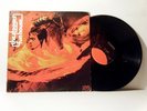 THE STOOGES  Iggy Pop  LP Fun House 1970   Elektra  vinyl