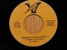 DJ The DJ Michigan Rock Psych American Indian Country 45 Indianas Feather Valley