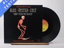 Blue Öyster Cult (Don't Fear) The Reaper 12