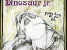 Dinosaur Jr. - You're Living All Over Me Vinyl Record