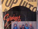 VTG Survivor Vinyl 1980s Classic 45 RPM Record Vital Signs Pop Rock  Music