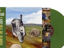 English Teacher This Could Be Texas OBI EDITION GREEN VINYL+ SIGNED ART CARD/100