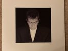 PETER GABRIEL Shaking The Tree: Sixteen Golden Greats 2x200g LP Classic Records