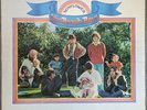 The Beach Boys - Sunflower - 1970 - Vinyl LP Gatefold - Pitman Pressing VG/VG+