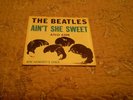 BEATLES AINT SHE SWEET PIC SLEEVE ONLY 45 RPM