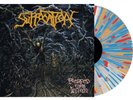 Suffocation pierced from within lp gorguts death metal morbid angel napalm death