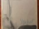 NOT DROWNING, WAVING - The Little Desert OZ ALT ROCK. 1985 Rampant. David Bridie