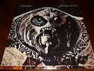 CHROME 33 RPM LP 3RD FROM THE SUN ROCK NOISE ELECTRONIC HELIOS CREED SIREN 1982