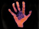 George Harrison - Living In The Material World (LP, Album, Gat)